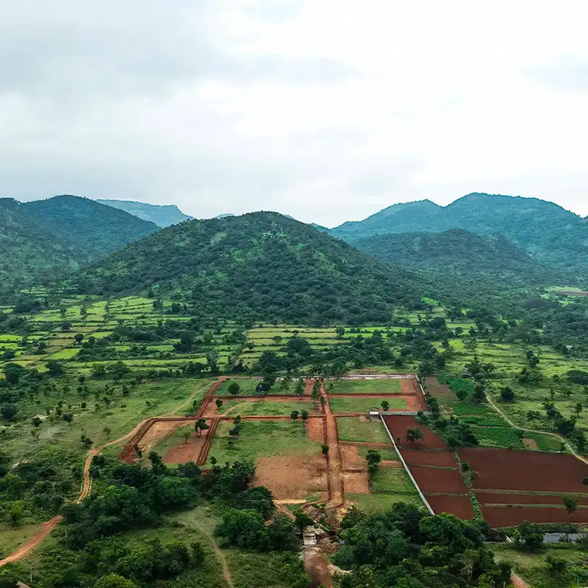 Raaga farmland